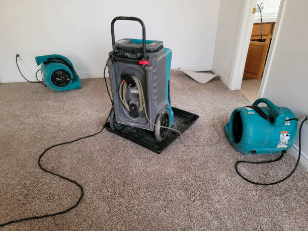 Local water damage restoration in New Smyrna Beach, FL