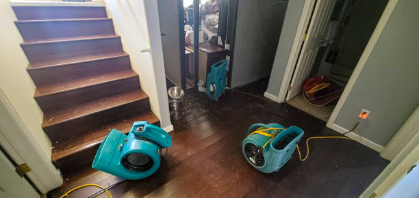 Best Water damage cleanup near me  in New Smyrna Beach, FL