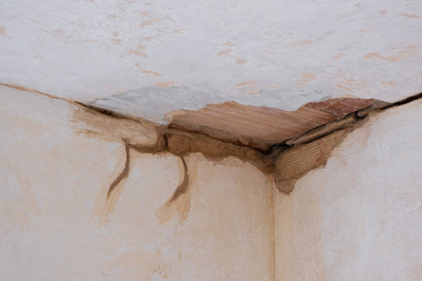 Best 24-hour water damage restoration  in New Smyrna Beach, FL