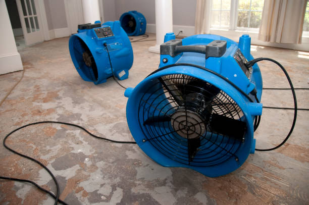 Best Fire Damage Restoration  in New Smyrna Beach, FL