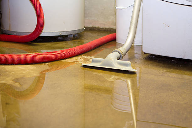 Reliable New Smyrna Beach, FL Water damage restoration Solutions