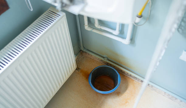 Best Sewage cleanup and water damage restoration  in New Smyrna Beach, FL