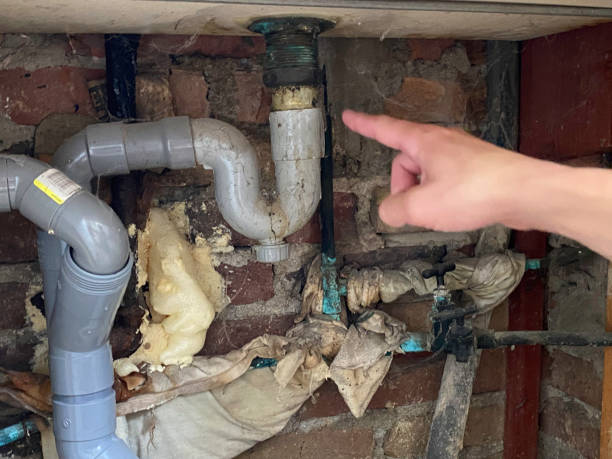 Reliable New Smyrna Beach, FL Water damage restoration Solutions