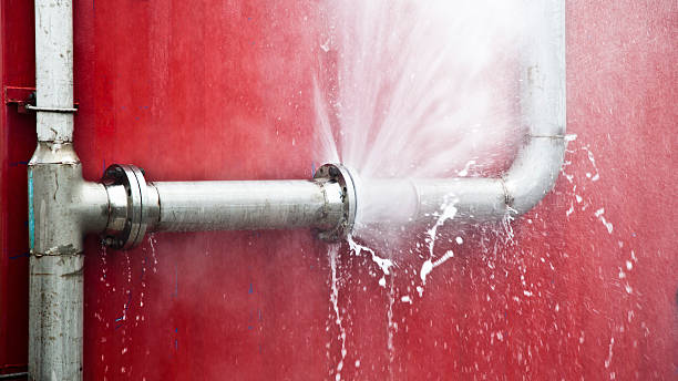 Best Flooded house restoration  in New Smyrna Beach, FL