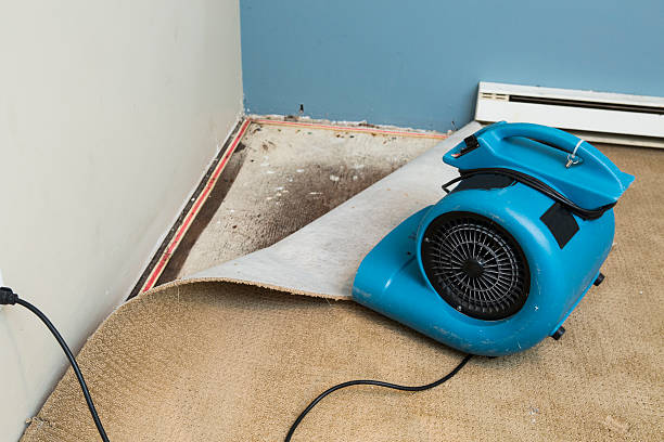 Best Emergency water damage restoration  in New Smyrna Beach, FL